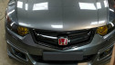 Modulo front grille for Acura TSX & Honda Accord 8 CU | Mesh JDM | CU1 CU2 CW2 | 2008-2011